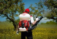 Cele mai bune atomizoare / pompe de stropit pomi