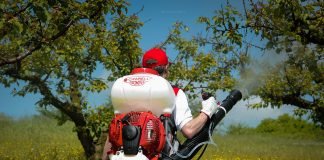 Cele mai bune atomizoare / pompe de stropit pomi