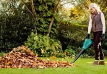 Cele mai bune aspiratoare, suflante şi tocătoare: TOP 5 modele recomandate de specialisti