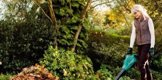 Cele mai bune aspiratoare, suflante şi tocătoare: TOP 5 modele recomandate de specialisti