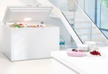Cele mai bune lăzi frigorifice – Ghid de achiziționare