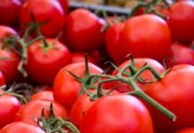 Cea mai bună maşină de tocat roşii/carne – Ghid de achiziționare