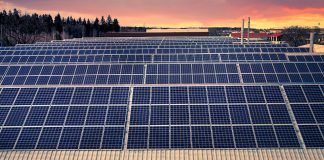 Cum să alegi cele mai bune panouri solare pentru nevoile tale